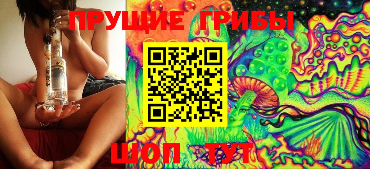 Междуреченск  Галлюциногенные грибы Psilocybe  Вход с VPN  Псилоцибиновые грибы Psilocybine cubensis 